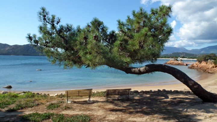 Immobilier Ajaccio | Barnes Corse Immobilier De Prestige En serapportantà Chambre Des Metiers Ajaccio Immobilier Ajaccio | Barnes Corse Immobilier De Prestige En serapportantà Chambre Des Metiers Ajaccio