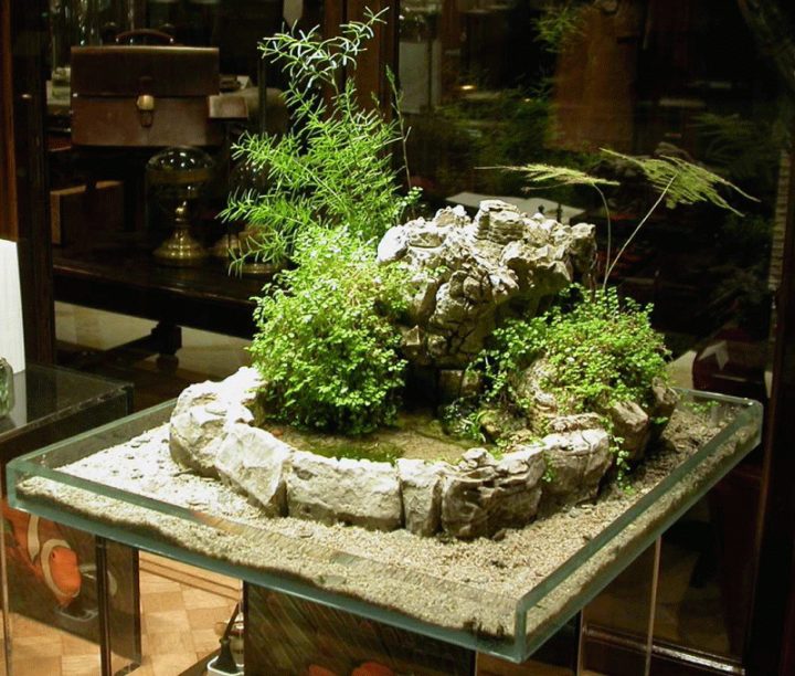Indoor Miniature Gardens | Indoor Miniature Japanese à Faire Un Jardin Zen