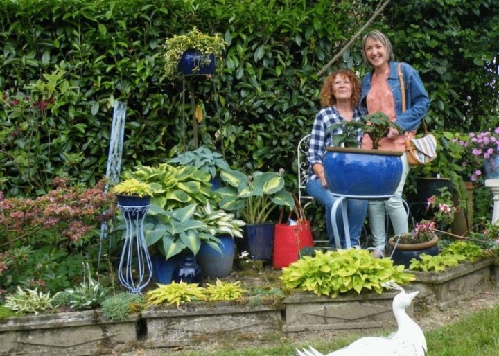 Jardin Des Sources avec Chaux Jardin Jardin Des Sources avec Chaux Jardin