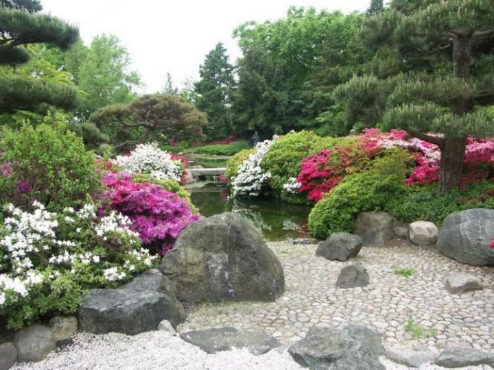 Jardin En Pente Moderne – Idées Et Conseils En 25 Photos dedans Abri De Jardin Style Japonais