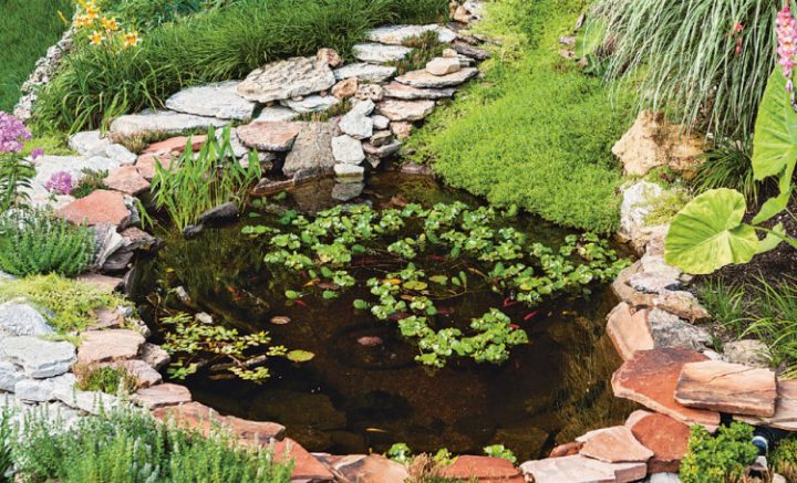 Jardin : Installation D'Un Petit Bassin Préformé destiné Bassin De Jardin Préformé