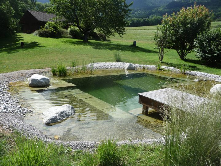 Jardin Japonais : Comment Faire Un Jardin Zen ? Arbuste encequiconcerne Faire Un Jardin Zen