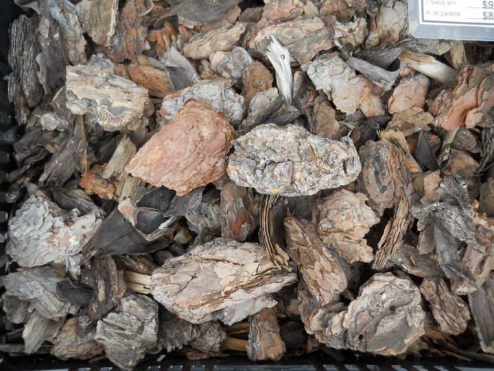 Jardin Jasmin: Écorce De L'Ouest Large 2Pi.cu encequiconcerne Copeaux De Bois Jardin