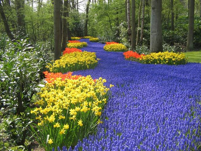 Jardines De Keukenhof – Pisos Al Día – Pisos serapportantà Jardin De Keukenhof Jardines De Keukenhof – Pisos Al Día – Pisos serapportantà Jardin De Keukenhof