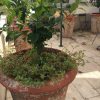 Jardins De Saint-Benoit Pool Pictures &amp; Reviews - Tripadvisor serapportantà Les Jardins De Saint Benoit
