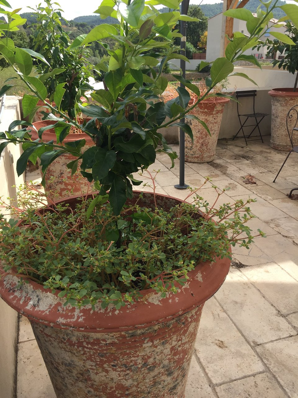 Jardins De Saint-Benoit Pool Pictures &amp; Reviews - Tripadvisor serapportantà Les Jardins De Saint Benoit