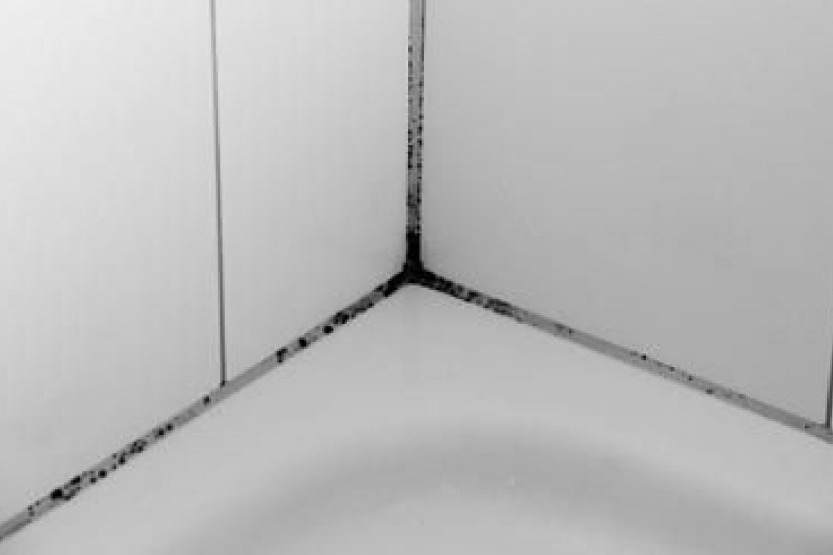 Joints De Douche Noircis Ou Moisis : Que Faire ? tout Nettoyer Moisissure Douche