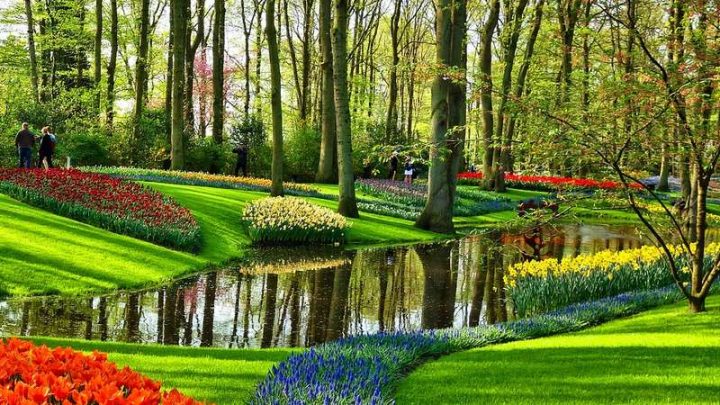 Keukenhof Flower Garden Near Amsterdam | Amsterdam encequiconcerne Jardin De Keukenhof