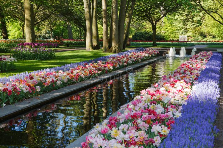 Keukenhof – Largest Flower Garden In Europe – Holland pour Jardin De Keukenhof