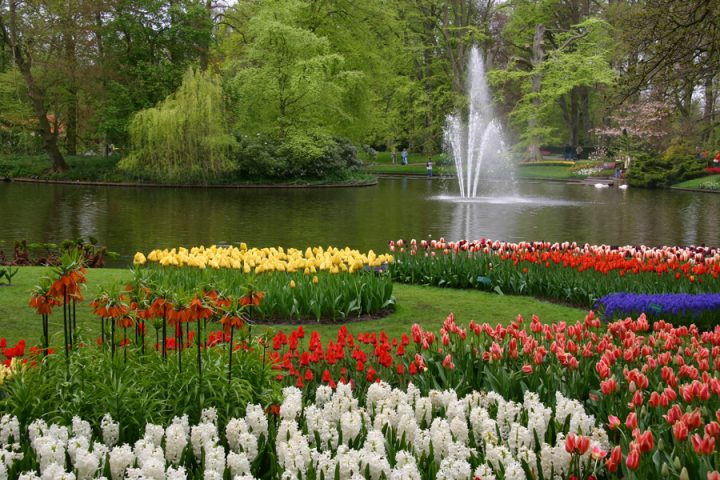 Keukenhof – Wikipedia à Jardin De Keukenhof Keukenhof – Wikipedia à Jardin De Keukenhof