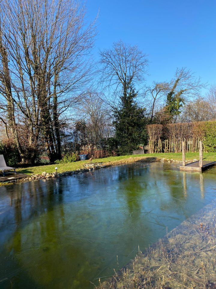 La Jument Verte – Chambre & Table D'Hôtes Entre Lac encequiconcerne Chambre D Hote Clairvaux Les Lacs