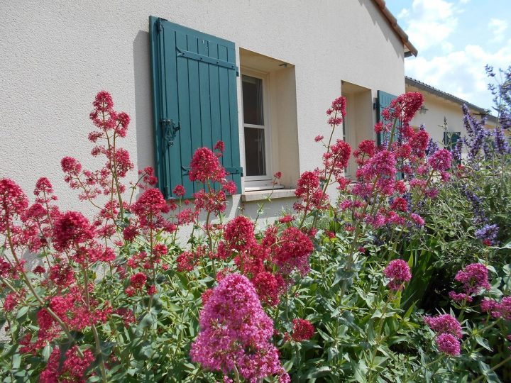 La Maison Des Valerianes – B&b Reviews (La Jarrie Audouin concernant Chambre D Hote Saint Jean D Angely