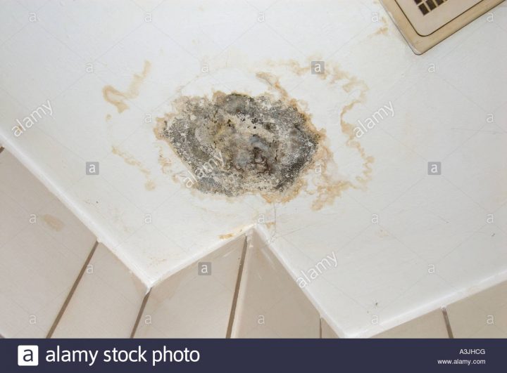 La Moisissure Sur Le Plafond Dans Une Salle De Bains Banque concernant Moisissure Plafond Salle De Bain