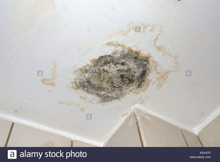 La Moisissure Sur Le Plafond Dans Une Salle De Bains Photo avec Moisissure Plafond Salle De Bain