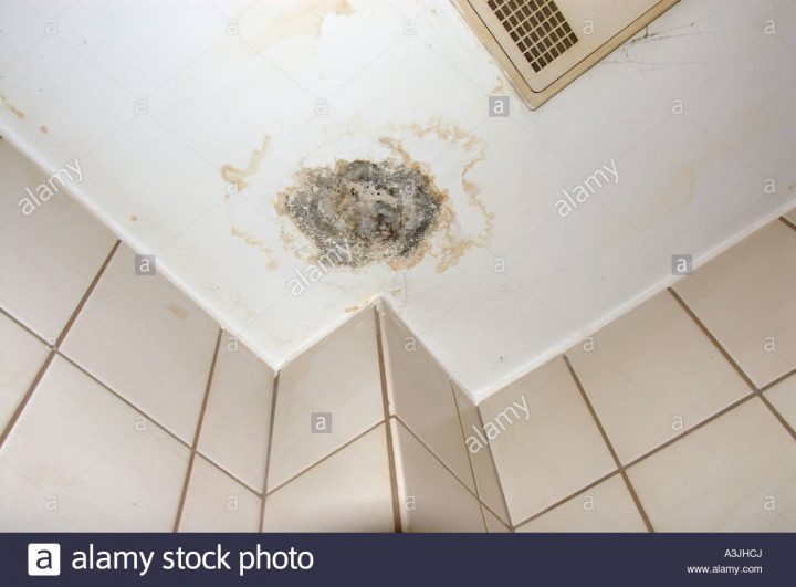 La Moisissure Sur Le Plafond Dans Une Salle De Bains Photo serapportantà Moisissures Salle De Bain