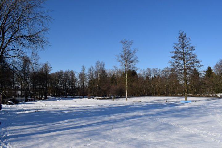 La Neige N'Est Plus Qu'Un Souvenir – Le Domaine Du Lac à Chambre D Hote Clairvaux Les Lacs