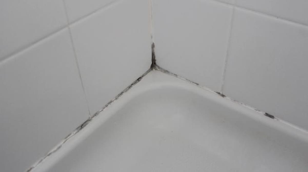 L'astuce Qui Marche Pour Enlever La Moisissure Des Joints De intérieur Nettoyer Moisissure Douche
