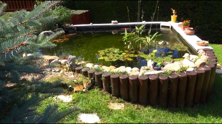 Le Bassin De Gilbert À Lissieu (69380) – Découverte serapportantà Bassin De Jardin Hors Sol Le Bassin De Gilbert À Lissieu (69380) – Découverte serapportantà Bassin De Jardin Hors Sol