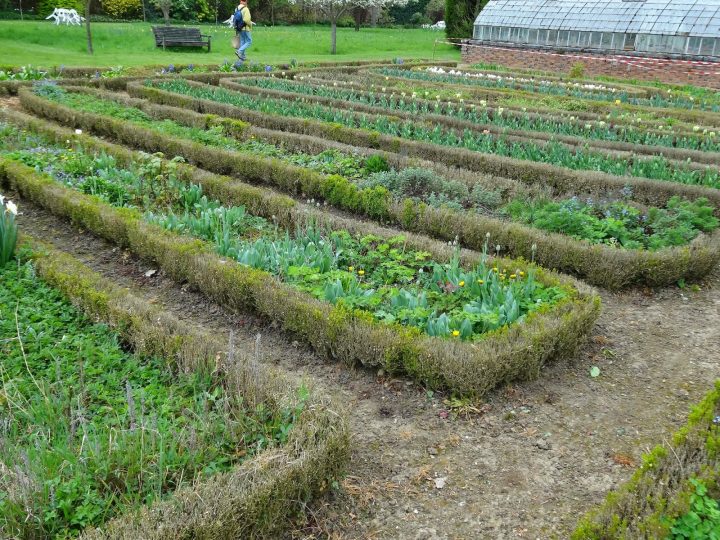 Le Blog De Parcs Et Jardins De L'Oise: La Maladie Des Buis serapportantà Delimitation Jardin
