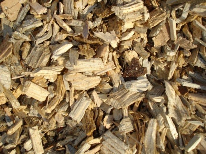 Le Bois Raméal Fragmenté (Brf) : Ses Bénéfices Au Jardin encequiconcerne Copeaux De Bois Pour Jardin