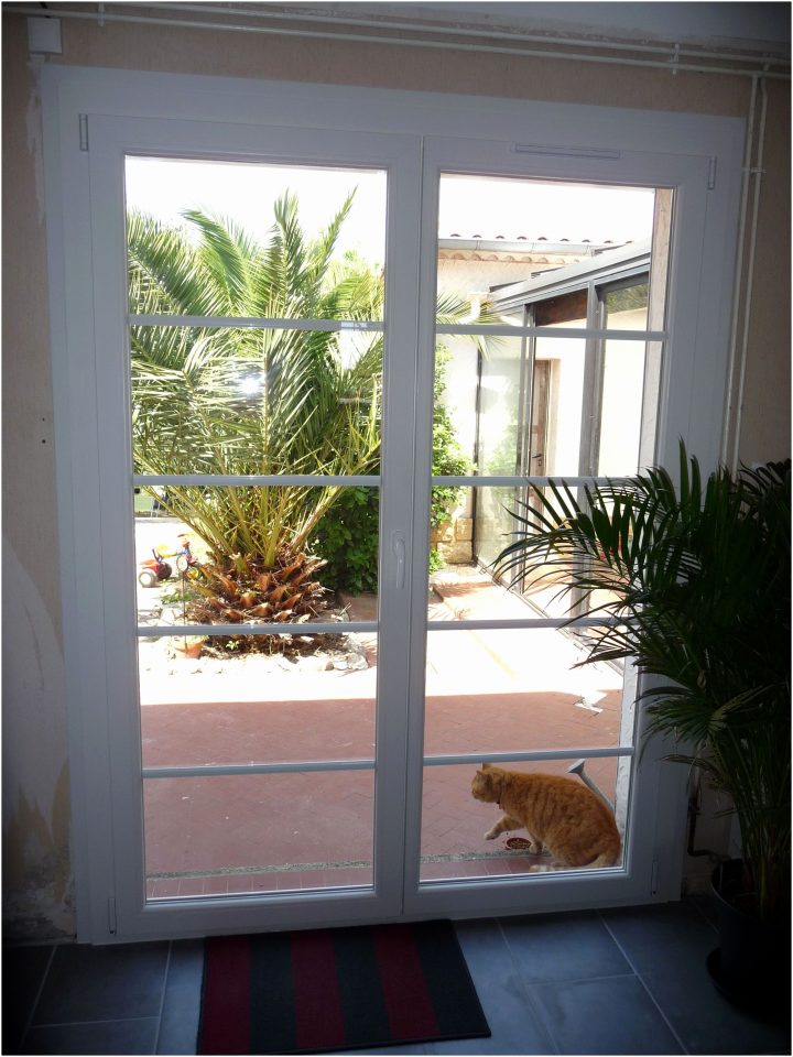 Le Bon Coin Serre De Jardin Occasion Particulier Luxe encequiconcerne Serre De Jardin Occasion Le Bon Coin