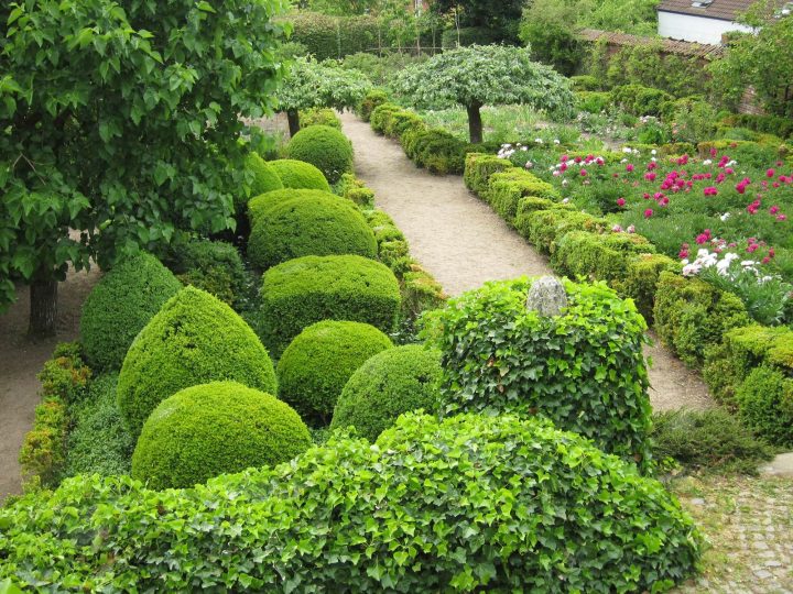 Le Jardin De Pivoines De Marie – La Terre Est Un Jardin concernant Les Jardins De Lourdes