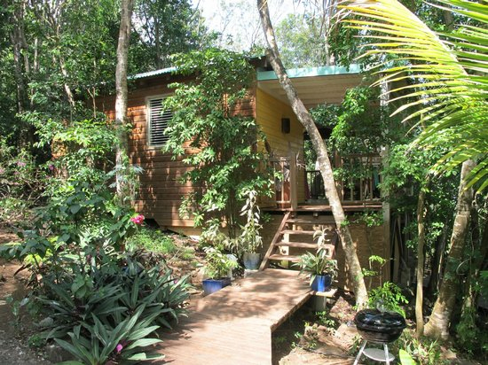 Le Lit – Picture Of Au Jardin Des Colibris Ecolodge&Spa destiné Au Jardin Des Colibris Le Lit – Picture Of Au Jardin Des Colibris Ecolodge&Spa destiné Au Jardin Des Colibris