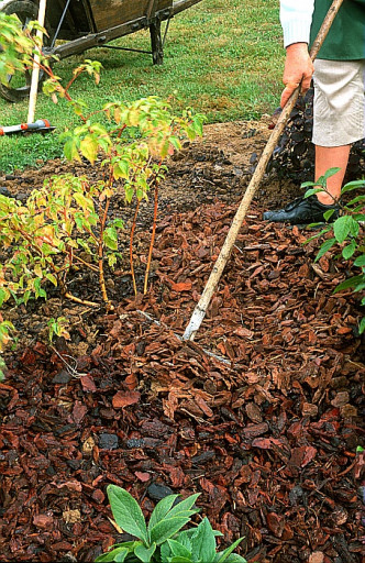 Le Paillage Des Massifs avec Ecorces Jardin Le Paillage Des Massifs avec Ecorces Jardin