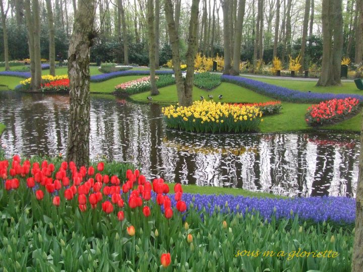 Le Parc Du Keukenhof – Sous Ma Gloriette encequiconcerne Jardin De Keukenhof