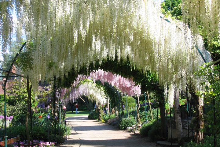 Le Parc Floral – Apremont-Sur-Allier dedans Chambre D Hote Apremont Sur Allier