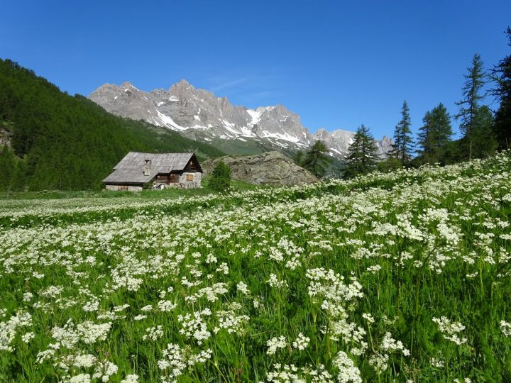 Les 5 Meilleures Chambres D'hôtes À Nevache En 2020 (Avec pour Chambre D Hote Nevache Les 5 Meilleures Chambres D'hôtes À Nevache En 2020 (Avec pour Chambre D Hote Nevache
