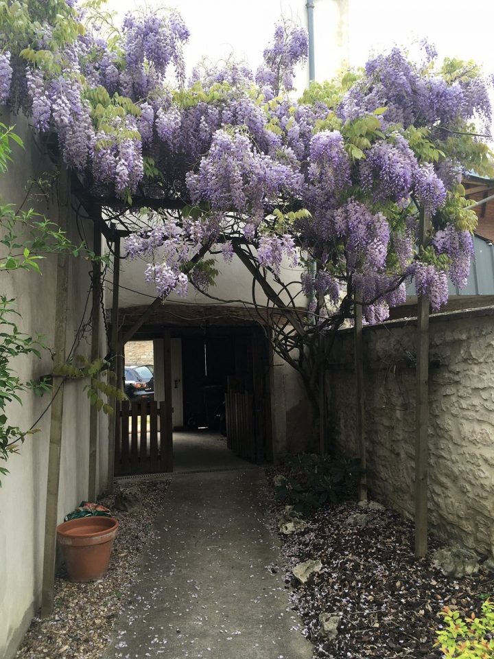 Les 5 Meilleures Chambres D'hôtes À Nuits-Saint-Georges En encequiconcerne Chambre D Hote Nuit Saint Georges
