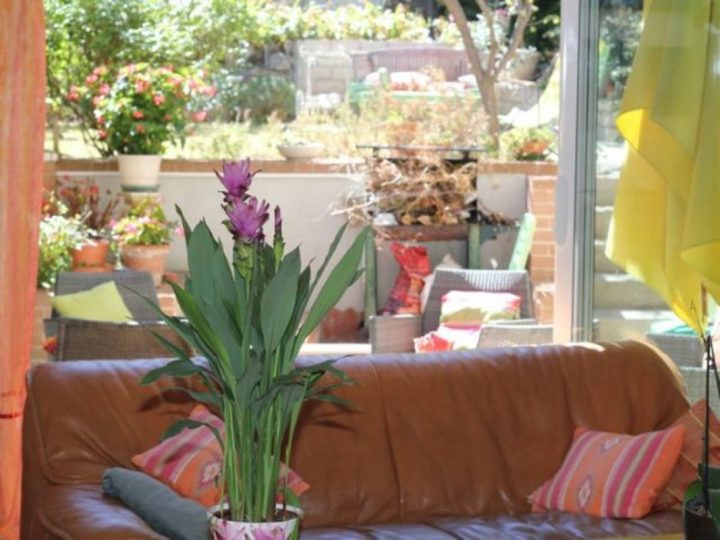 Les Citronniers – 2 Nuits Minimums : Chambre D'Hote dedans Les Nuits Envoutées – Chambre D'Hôtes – Spa Les Citronniers – 2 Nuits Minimums : Chambre D'Hote dedans Les Nuits Envoutées – Chambre D'Hôtes – Spa