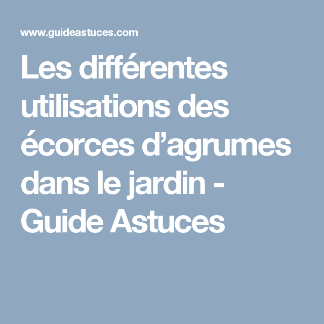 Les Différentes Utilisations Des Écorces D’agrumes Dans Le avec Ecorces Jardin Les Différentes Utilisations Des Écorces D’agrumes Dans Le avec Ecorces Jardin