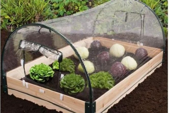 Les Mini Serres De Jardin, Serres De Petites Tailles dedans Chassis Jardin