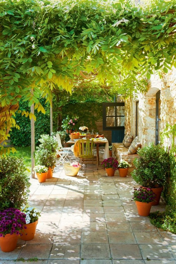 Les Plantes Grimpantes, Beaucoup D'Idées Pour Le Jardin pour Decoration Extérieur Maisonjardin