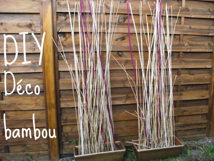 Les Tribulations Des Pipelettes serapportantà Déco Jardin Bambou Les Tribulations Des Pipelettes serapportantà Déco Jardin Bambou