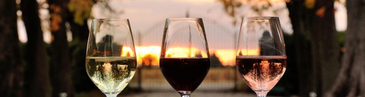 Les Vins – L'Odylée – Domaine & Chambre D'Hôtes encequiconcerne Vin Blanc Chambre D Amour