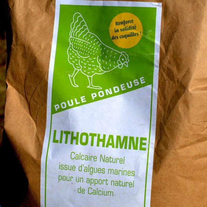 Lithothamne Pour Alimentation Animale. Sac De 5 Kg à Lithothamne Jardin Lithothamne Pour Alimentation Animale. Sac De 5 Kg à Lithothamne Jardin