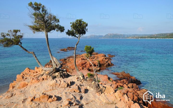 Location Porticcio Dans Une Chambre D'hôte Pour Vos Vacances dedans Chambre D Hote Porticcio Location Porticcio Dans Une Chambre D'hôte Pour Vos Vacances dedans Chambre D Hote Porticcio