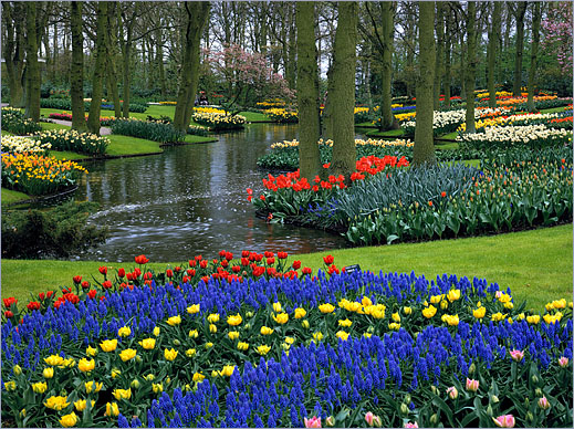 Los Jardines De Keukenhof – Viajar Por Europa intérieur Jardin De Keukenhof Los Jardines De Keukenhof – Viajar Por Europa intérieur Jardin De Keukenhof