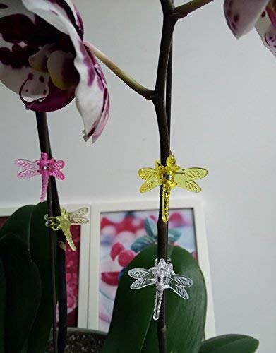 Lot De 30 Orchidée Pinces Clips Pour Plantes Libellule tout Idée Cadeau Jardin Lot De 30 Orchidée Pinces Clips Pour Plantes Libellule tout Idée Cadeau Jardin