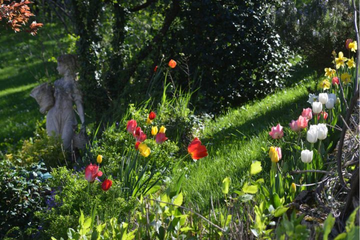 Maison Bressandes : Chambre D'Hote Beaune, Côte-D'Or dedans Chambre D Hote Beaune