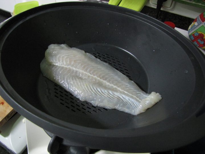 Marisa E Meireles tout Abri Tampa