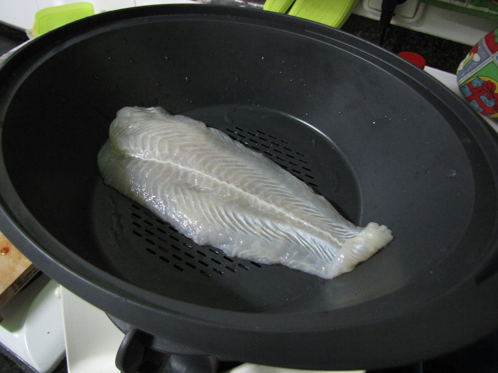 Marisa E Meireles tout Abri Tampa