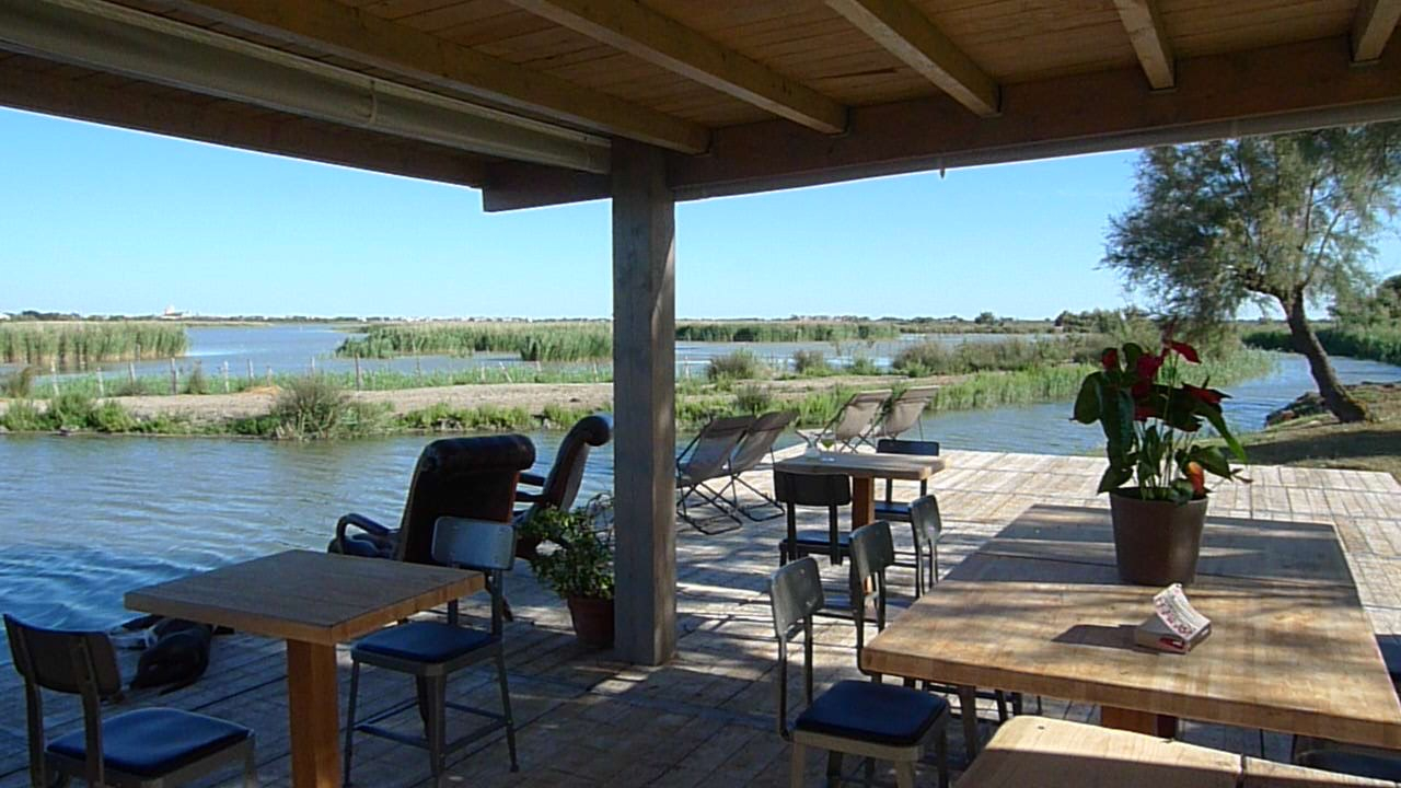 Mas Des Cabidoules - Site Officiel - Chambres D'hôtes Camargue à Chambre D Hote Sainte Marie De La Mer