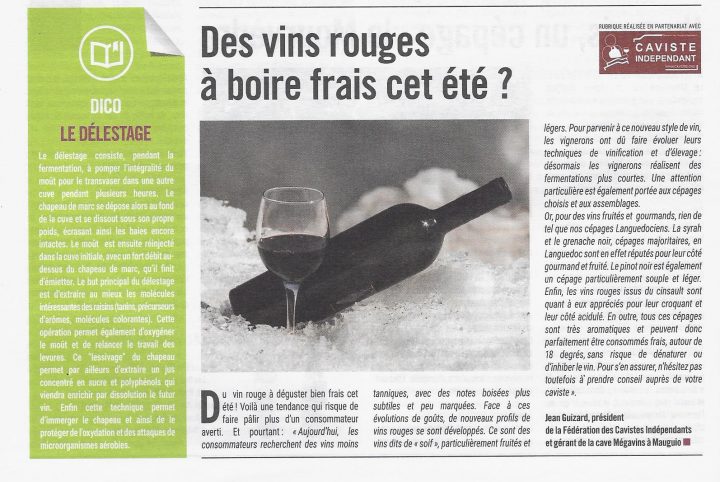 Megavins: Peut-On Refroidir Un Vin Rouge ? Le Caviste Vous avec Chambrer Le Vin