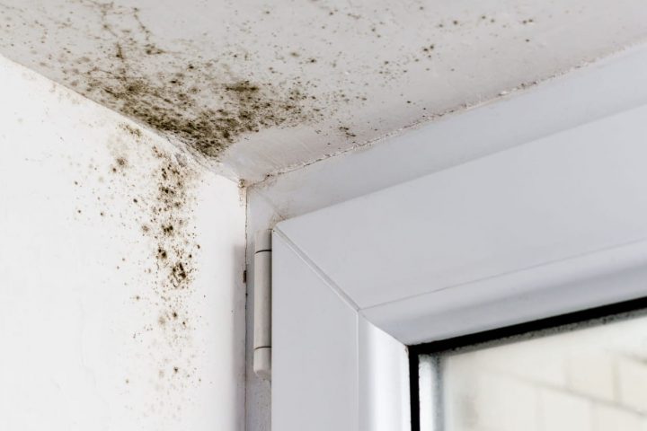 Meilleur Anti-Moisissure : Comment Choisir Les Produits Les tout Moisissure Plafond Salle De Bain