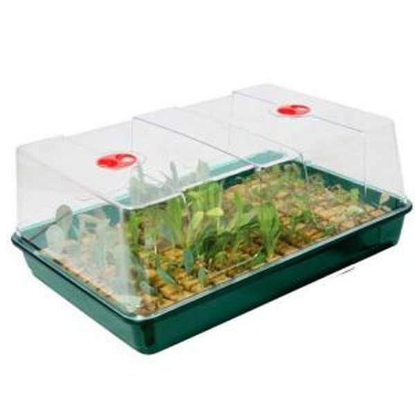 Mes Graines En Sécurité : Achat Serre / Petite Serre tout Petite Serre De Jardin Pas Cher Mes Graines En Sécurité : Achat Serre / Petite Serre tout Petite Serre De Jardin Pas Cher