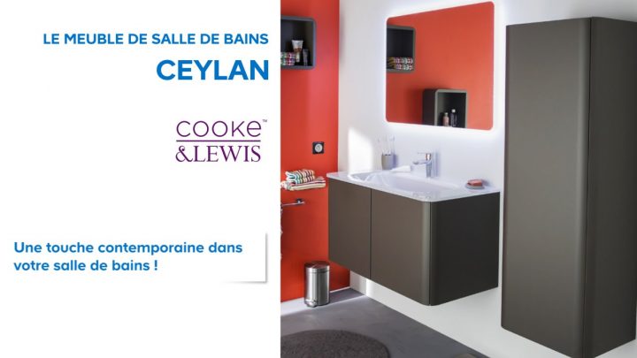 Meuble De Salle De Bains Ceylan Cooke & Lewis (648690 pour Salle De Bain Pictogramme